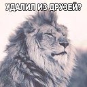 ���� Host, ����, 61 ��� - ��������� 8 ������ 2016 � ������ ������ ��������