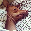 ���� ����, ��������, 34 ���� - ��������� 8 ������� 2017 � ������ ������ ��������