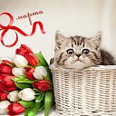 ���� Alex261163, ��������, 62 ���� - ��������� 8 ����� 2017 � ������ ������ ��������