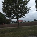  ,  -  1  2016   ߻