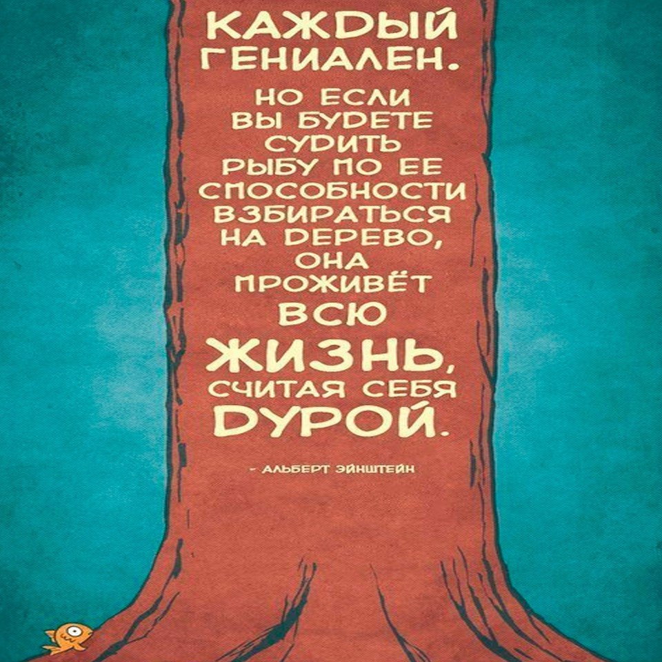        ,   .   