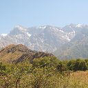 ���� �����, ������ - ��������� 24 ������� 2017 � ������ ������ ��������