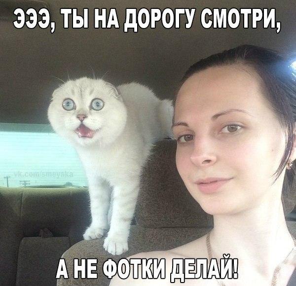 ����, -������� � ����... - 22 ������� 2016 � 12:53