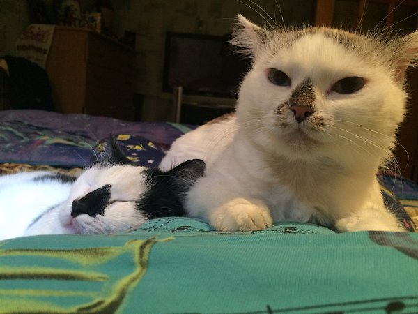 #_.   2-    :- ... - 6