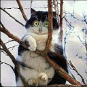 ���� ��������, �����, 35 ��� - ��������� 13 ������� 2017 � ������ ���� ����������