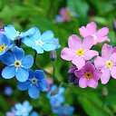 ���� ����, �����-��������� - ��������� 13 ������ 2016 � ������ ������ ��������