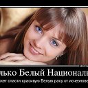 ���� ���������, ����, 46 ��� - ��������� 10 ������� 2016 � ������ ���� ����������