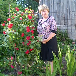 ������, ������, 67 ���