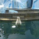 ���� �����, ��������, 56 ��� - ��������� 24 ������� 2016