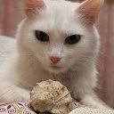 ���� ���������, ������, 75 ��� - ��������� 25 ����� 2017 � ������ ��� �� ��������!�