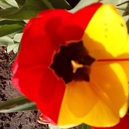 ���� ����, ������ - ��������� 6 ������� 2016