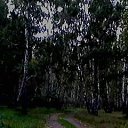 ���� ������, ����, 74 ���� - ��������� 1 ������� 2016 � ������ ������ ��������