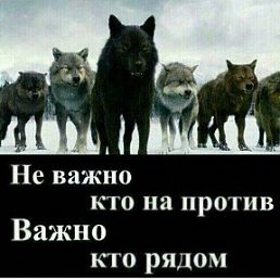 ���� ������ ����������, �����-��������� - ��������� 12 �������� 2016