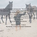 ���� �, �������, 57 ��� - ��������� 22 ������ 2016 � ������ ������ ��������