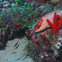 ���� ������, ������ - ��������� 23 ������� 2016 � ������ ���� �����