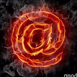 Ton, ���, 31 ���