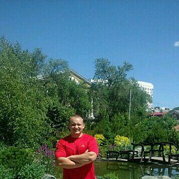 �����, �������, 43 ����