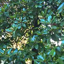���� Oleg, ������� ����, 78 ��� - ��������� 14 ������� 2016 � ������ ���� ����������