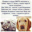 ���� ��������, ���������, 48 ��� - ��������� 28 ������ 2016 � ������ ������ ��������