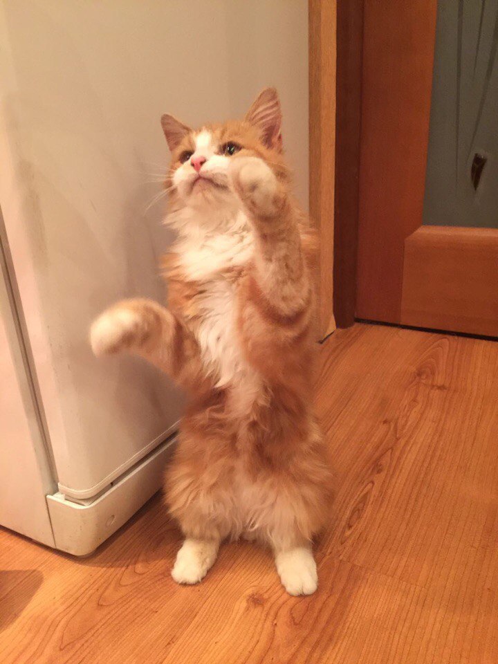    4 , ,   ,  - ,    ...