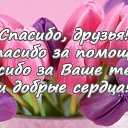 ���� V, ���������, 33 ���� - ��������� 20 �������� 2016 � ������ ������ ��������