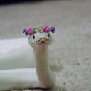 ���� ������, ������� - ��������� 12 ������� 2016 � ������ ���� ����������