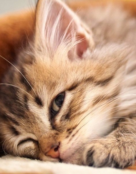   - 27  2016  10:15 - 4