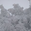 ���� �����, ��������, 46 ��� - ��������� 7 ������ 2016 � ������ ���� ����������