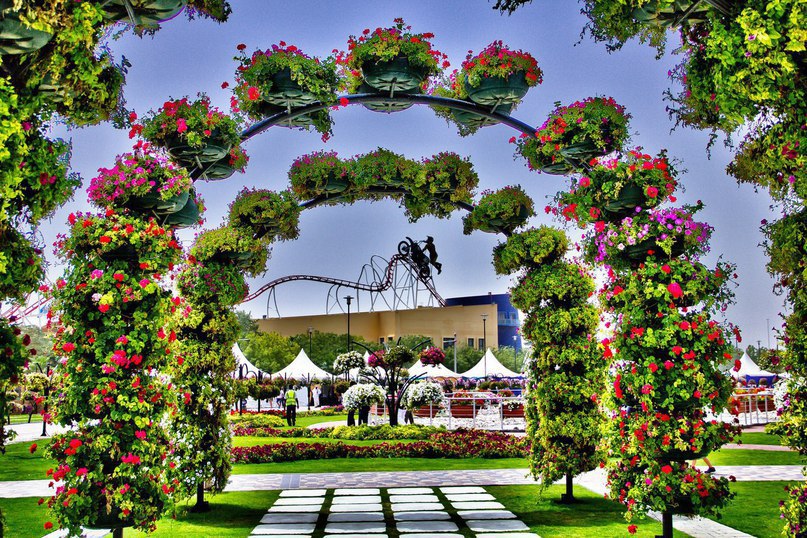 #Dubai Miracle Garden -      , # - 8