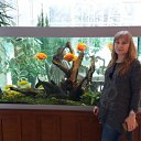 ���� �������, �������, 53 ���� - ��������� 16 ������ 2017