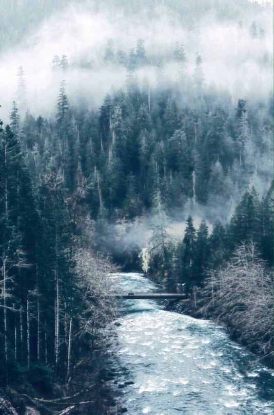 ����������� ��� - 4