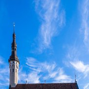 �����, 39 ���, �����-���������