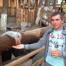 ����, ����������, 36 ���