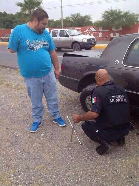 ��������. ����������� ����������� � ����� ��������