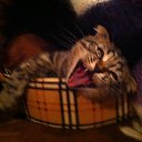 ���� ������, �����-���������, 55 ��� - ��������� 21 ������� 2016 � ������ ���� ����������