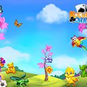  , , 62  -  22  2017    -