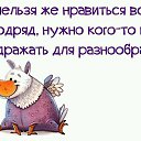 ���� ������ ����������, ������, 41 ��� - ��������� 25 ����� 2017 � ������ ���� ����������