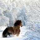 ���� Santehnik!!, ������� - ��������� 4 ������� 2016 � ������ ���� ����������