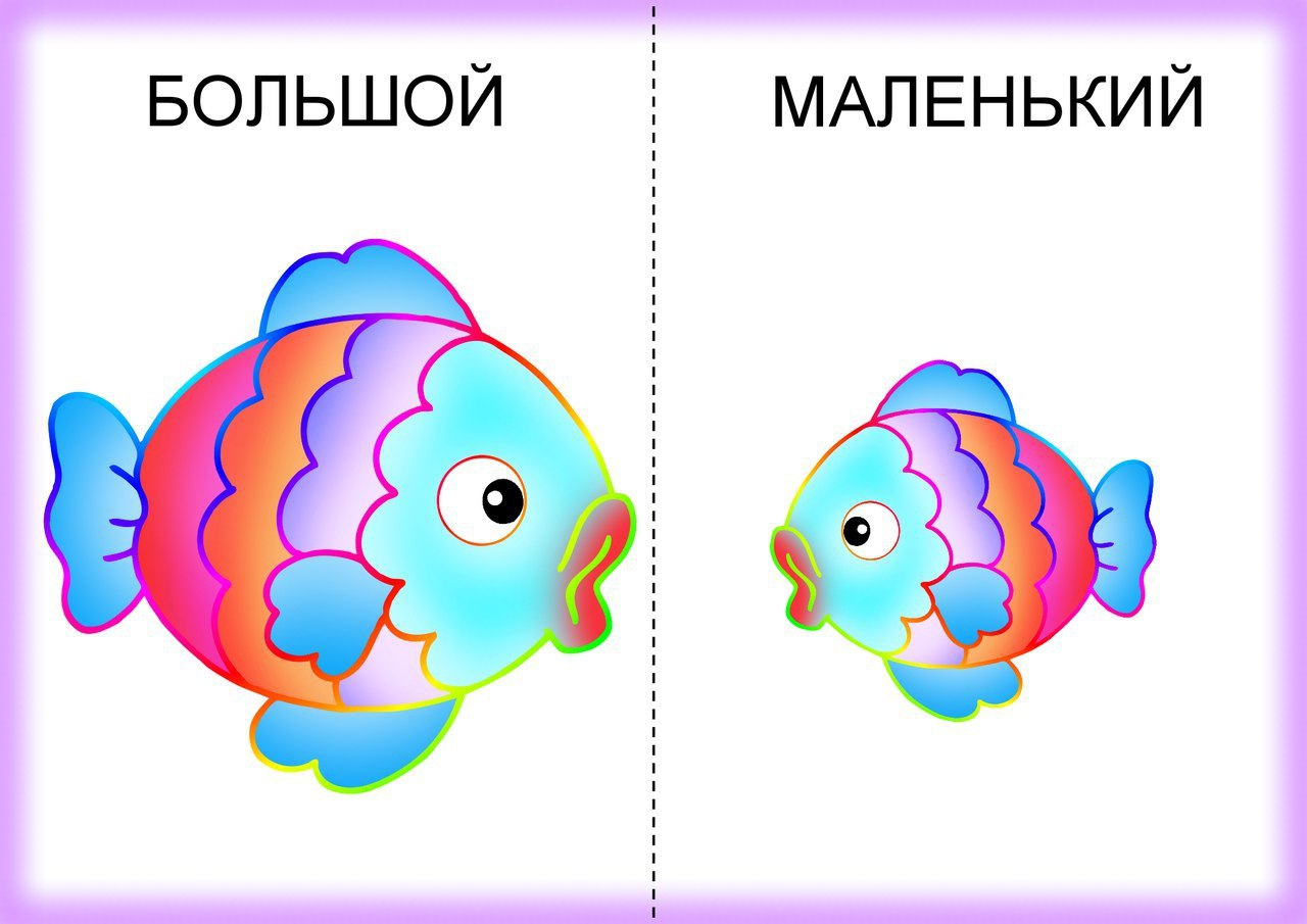 Маленький большой короткий. Большой маленький для детей. Карточки большой маленький для детей. Противоположности для детей. Карточки противоположности для детей.