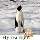 ���� �������� ( �� �������� ��), ��� - ��������� 15 ����� 2017 � ������ ������ ��������