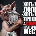 ���� ��������, ������������, 34 ���� - ��������� 13 ������ 2017 � ������ ������ ��������