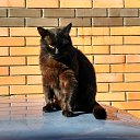 ���� Bob, ��������������, 45 ��� - ��������� 22 ������ 2017