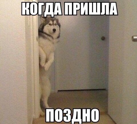 ������� �������, ����� �������.&copy; - 1 ������ 2017 � 01:04