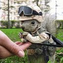 ���� Alehandro, ����������, 53 ���� - ��������� 28 ����� 2017 � ������ ������ ��������