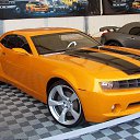 ���� �������, ���������, 41 ��� - ��������� 25 ������� 2016 � ������ ���� ����������