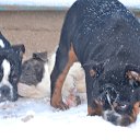 ���� �����, ������ - ��������� 14 ������� 2016 � ������ ���� ��������