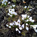 ���� Vassa, ���� - ��������� 26 ����� 2017 � ������ ������ ��������