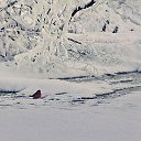 ���� �����, ���������� - ��������� 10 ������ 2017 � ������ ���� ����������