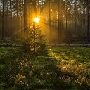 ���� �����, ����� - ��������� 23 ������� 2016 � ������ ���������