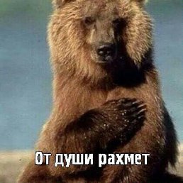 ���� �����, ������, 84 ���� - ��������� 9 ����� 2017